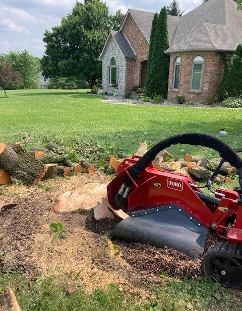 Local yard cleanup service in Crestwood, KY - Absolute Stump Grinding