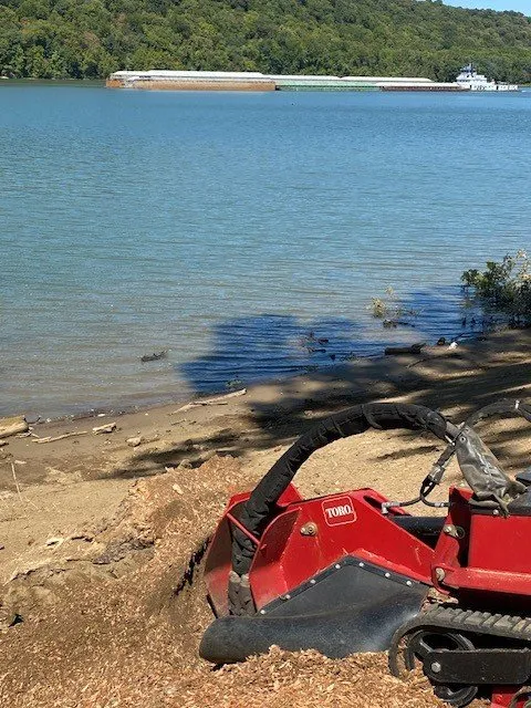 Expert yard cleanup service for beautiful yards across Crestwood, KY - Absolute Stump Grinding