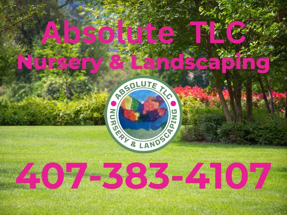 Expert yard maintenance with custom design in Lake Helen, FL by Absolute TLC Nursery & Landscaping