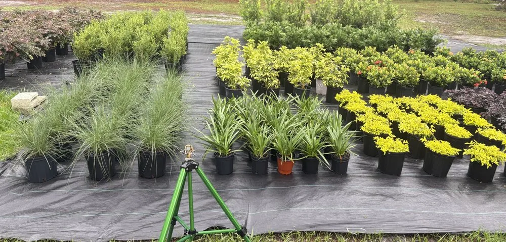 Custom landscape design in Lake Helen, FL - Absolute TLC Nursery & Landscaping