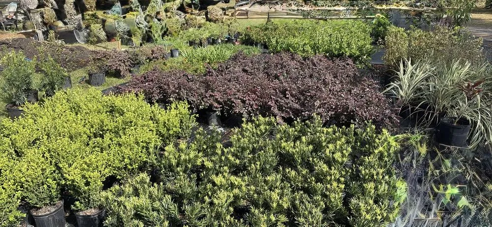 Custom garden landscaping for outdoor upgrades in Lake Helen, FL by Absolute TLC Nursery & Landscaping