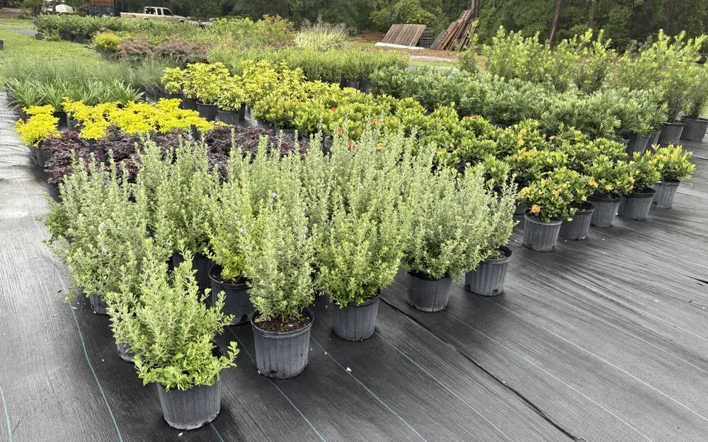 Local lawn care service for outdoor upgrades in Lake Helen, FL by Absolute TLC Nursery & Landscaping