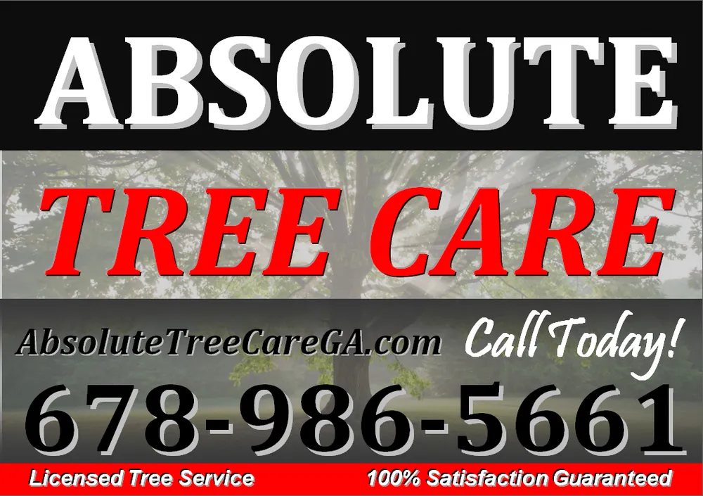 Top-rated lawn care service in Calhoun, GA - Absolute Tree Care