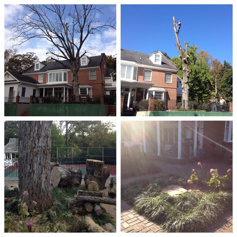 Local lawn care service in Calhoun, GA by Absolute Tree Care