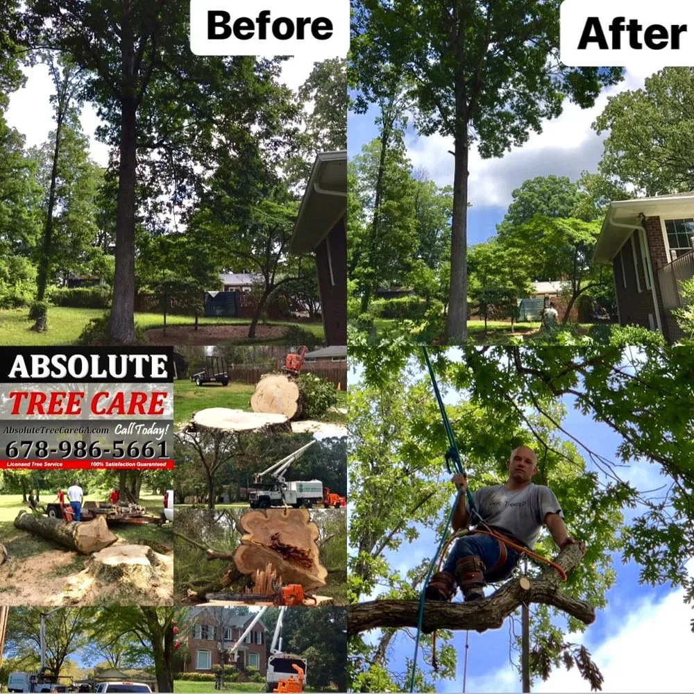 Professional garden landscaping in Calhoun, GA - Absolute Tree Care