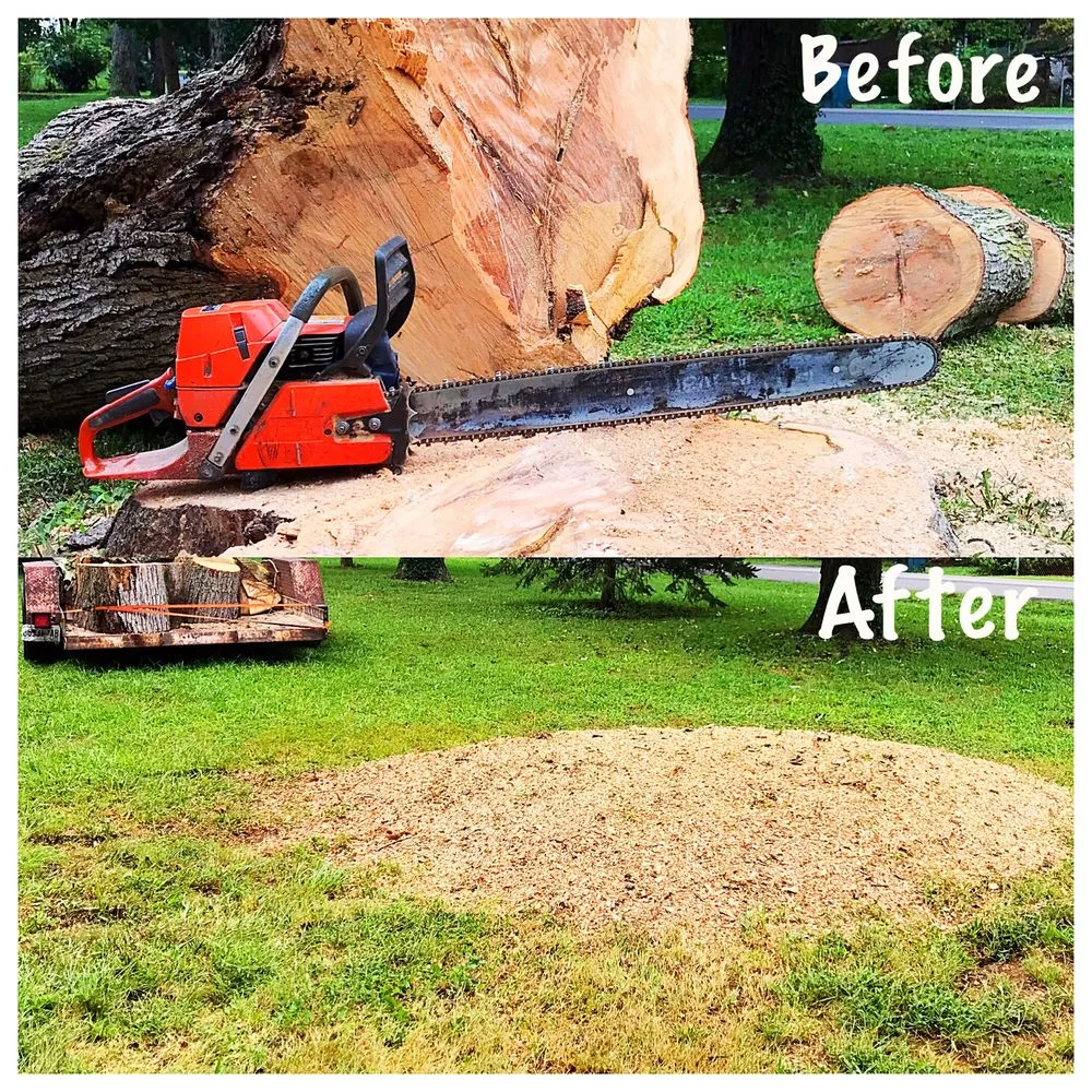 Top-rated residential landscaping for homes in Calhoun, GA by Absolute Tree Care