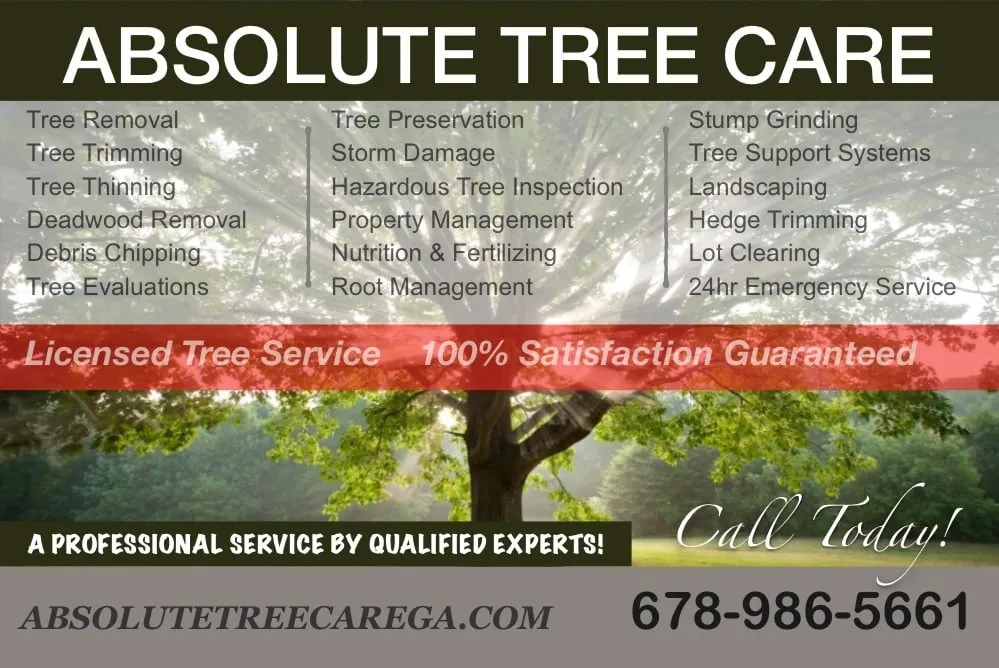 Expert landscaping services for beautiful yards across Calhoun, GA - Absolute Tree Care