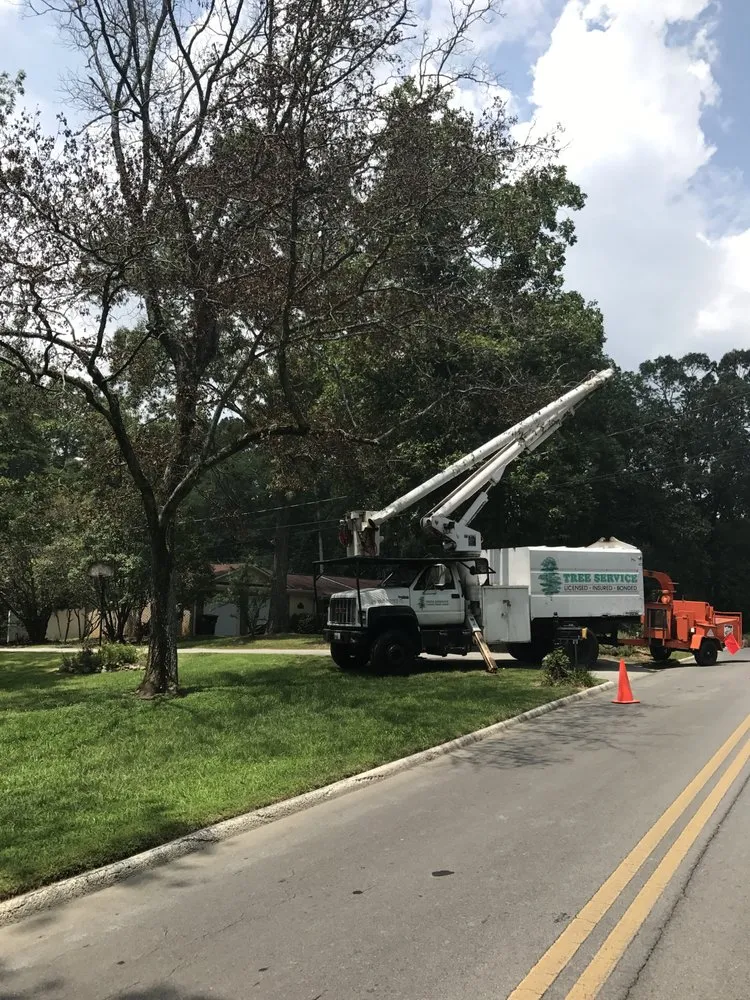 Custom yard maintenance for beautiful yards across Calhoun, GA - Absolute Tree Care