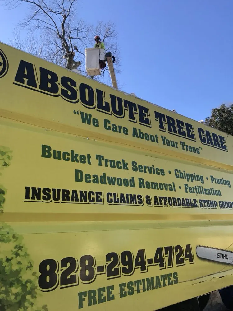 Professional lawn care service in Fort Meyers, FL - Absolute Tree Care