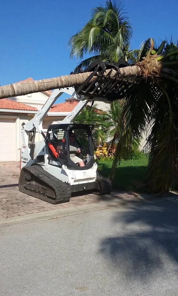 Reliable landscaping services for homes across Fort Meyers, FL - Absolute Tree Care