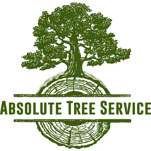 Professional yard cleanup service near you across Kemp, TX - Absolute Tree Service