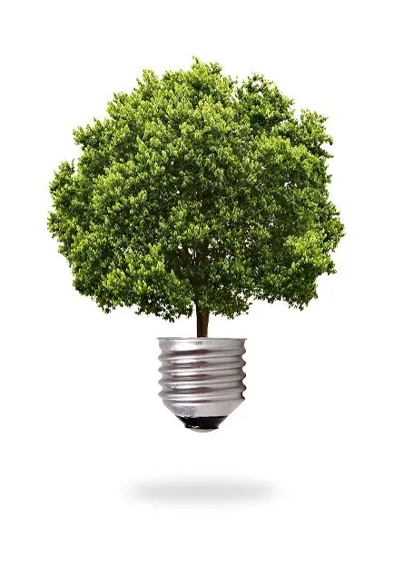 Professional residential landscaping experts serving Palatine, IL - Absolute Tree Solutions