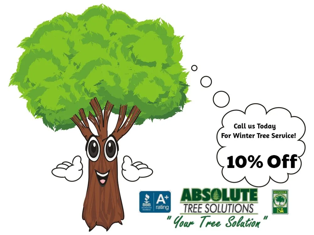 Professional outdoor landscaping experts serving Palatine, IL - Absolute Tree Solutions