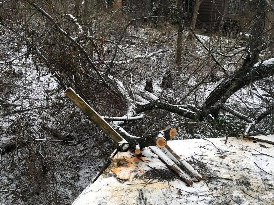 Local residential landscaping for year-round maintenance across Palatine, IL - Absolute Tree Solutions