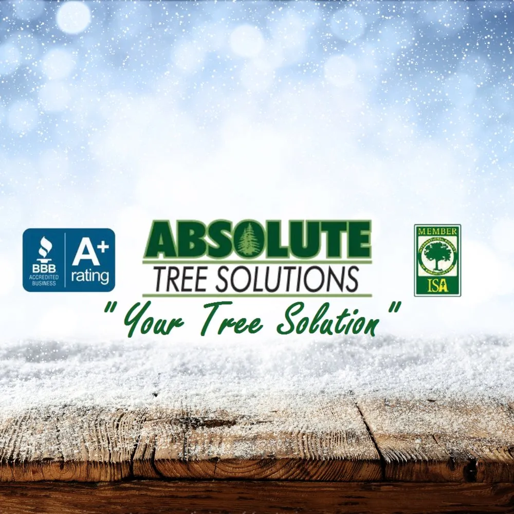 Custom landscaping services experts serving Palatine, IL - Absolute Tree Solutions