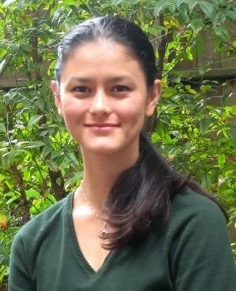 Custom landscape installation in Palatine, IL by Absolute Tree Solutions