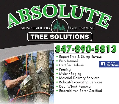 Custom garden landscaping with custom design across Palatine, IL - Absolute Tree Solutions