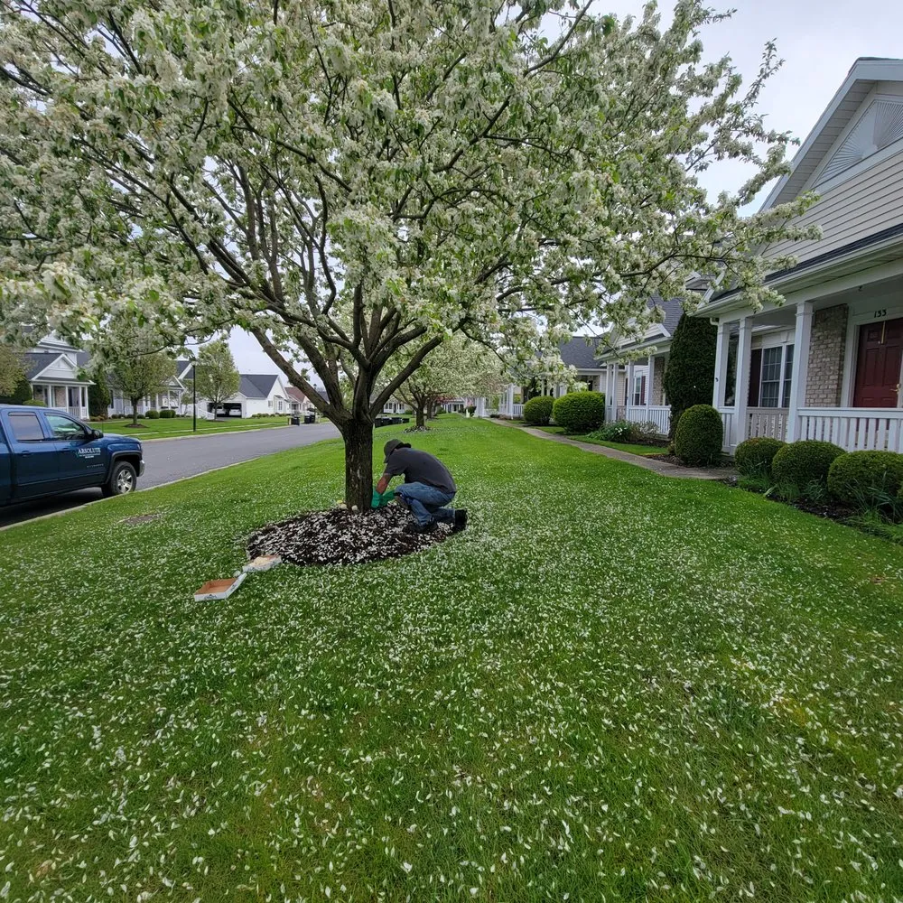 Expert yard maintenance in Palmyra, NY by Absolute Turf, Tree and Property Maintenance