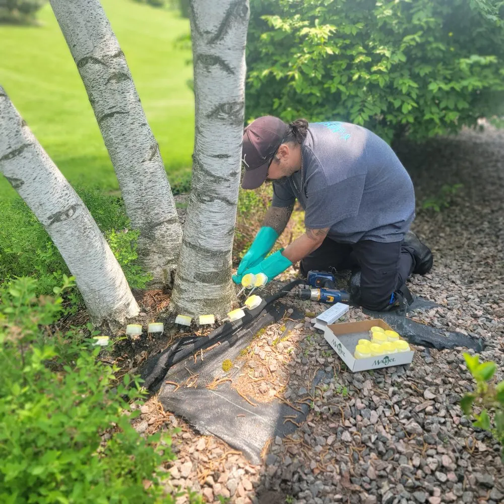 Affordable lawn mowing service for beautiful yards in Palmyra, NY by Absolute Turf, Tree and Property Maintenance