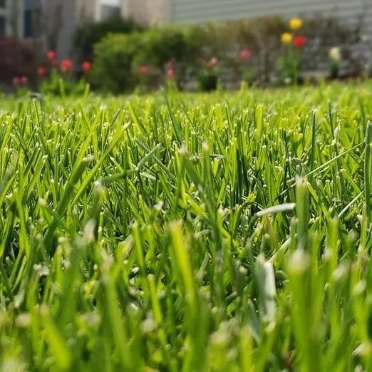 Custom landscaping services for homes across Palmyra, NY - Absolute Turf, Tree and Property Maintenance