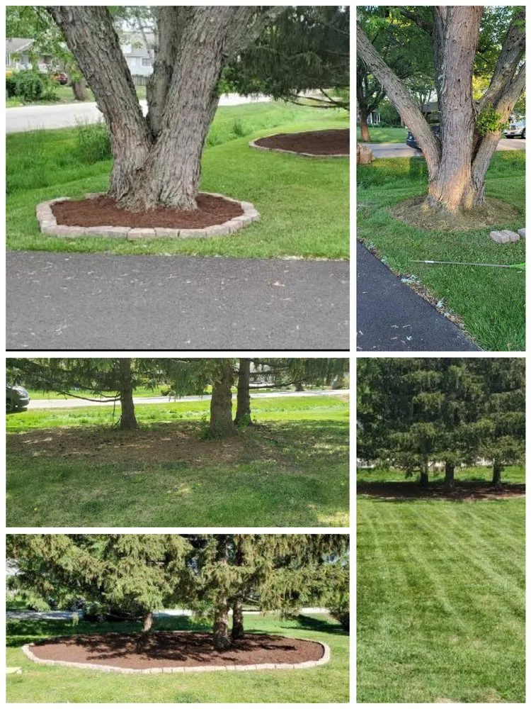 Local lawn care service in Oak Lawn, IL - Absolutely Cutting Edge Lawn & Snow Services