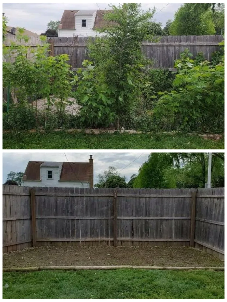 Local outdoor landscaping for beautiful yards across Oak Lawn, IL - Absolutely Cutting Edge Lawn & Snow Services