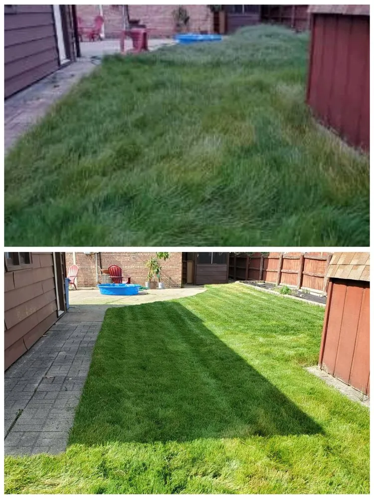 Trusted yard maintenance experts serving Oak Lawn, IL - Absolutely Cutting Edge Lawn & Snow Services