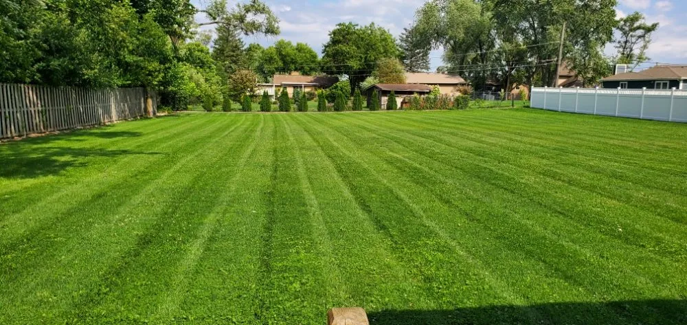 Expert lawn mowing service for beautiful yards across Oak Lawn, IL - Absolutely Cutting Edge Lawn & Snow Services