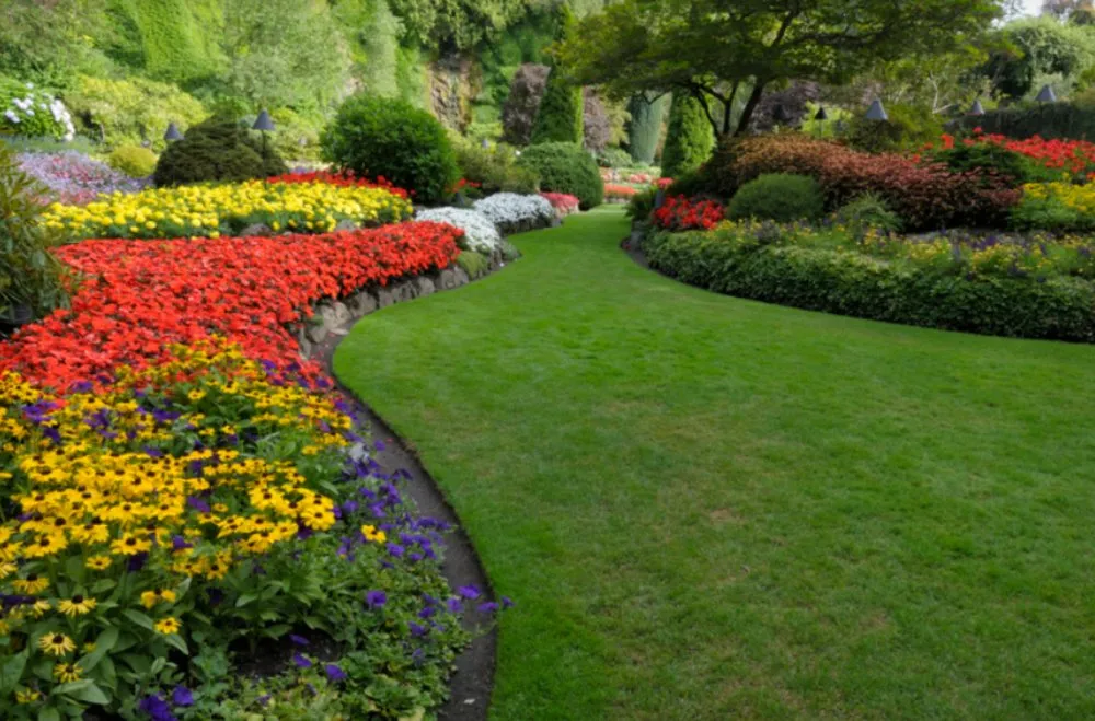 Top-rated landscape design in Colorado Springs, CO - Absolutely Green