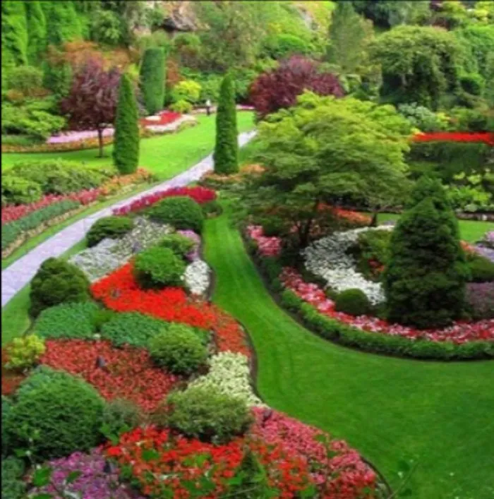 Local outdoor landscaping experts serving Colorado Springs, CO - Absolutely Green