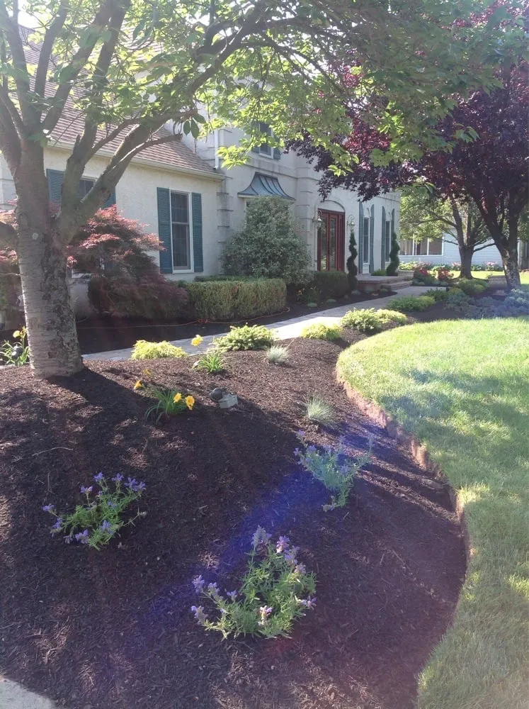 Expert lawn mowing service with custom design across Bensalem, PA - Absolutely Perfect Inc