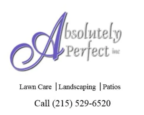 Absolutely Perfect Inc