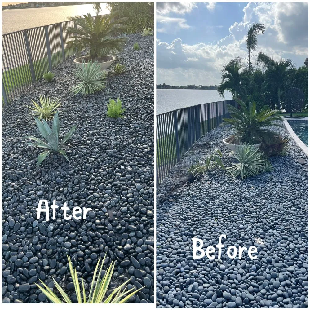 Reliable outdoor landscaping in Coral Springs, FL by Abuela’s Magic Plants