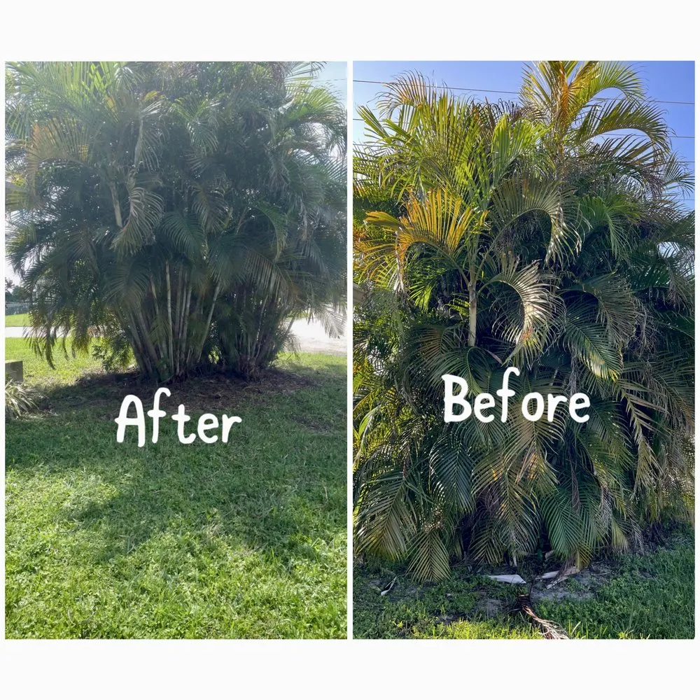 Trusted landscape installation experts serving Coral Springs, FL - Abuela’s Magic Plants