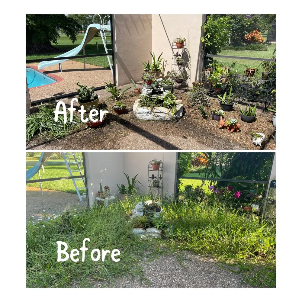 Reliable residential landscaping with custom design in Coral Springs, FL by Abuela’s Magic Plants