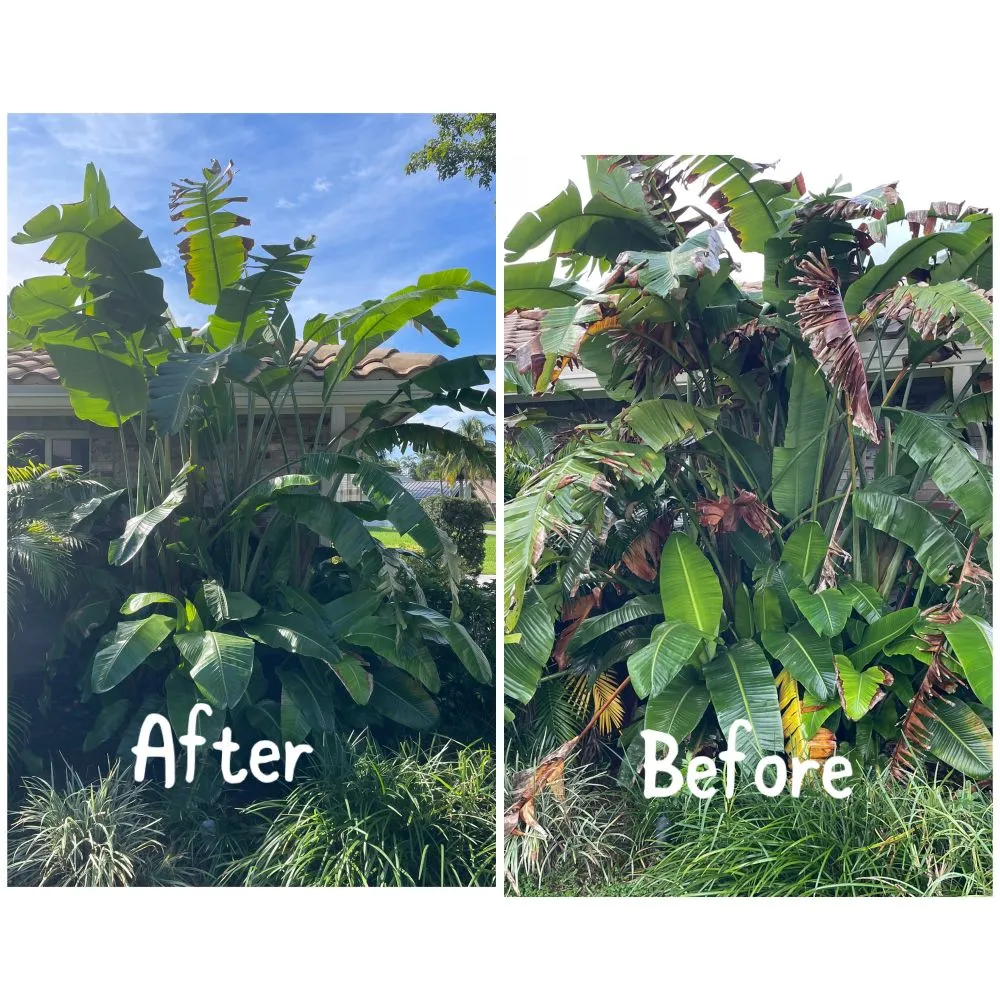 Trusted residential landscaping in Coral Springs, FL by Abuela’s Magic Plants