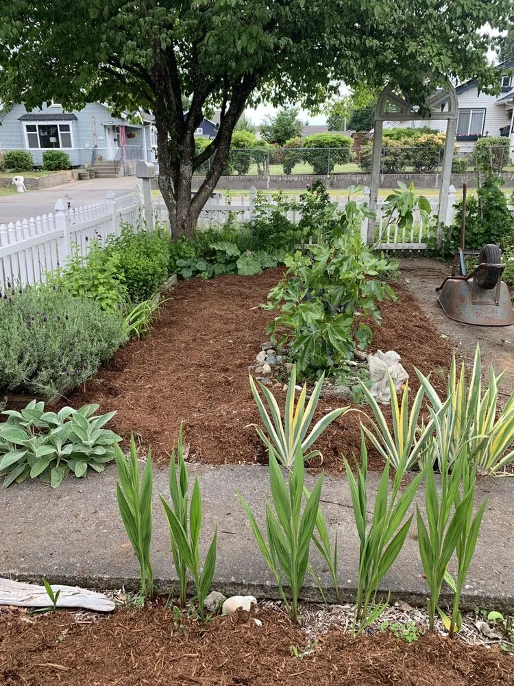 Reliable yard maintenance for homes across Tumwater, WA - Abundant Earth Landscapes