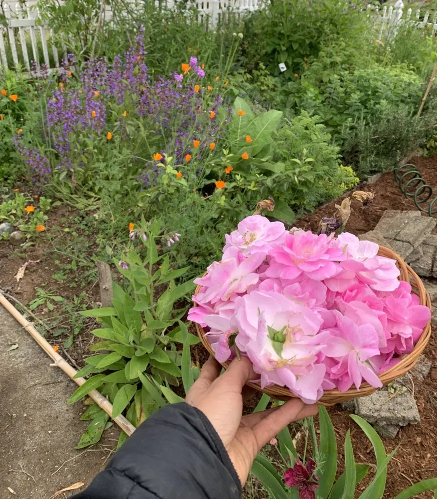 Trusted landscape design for beautiful yards across Tumwater, WA - Abundant Earth Landscapes