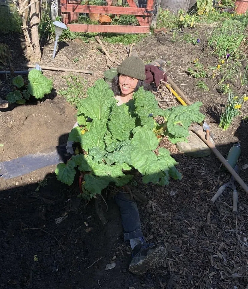 Top-rated yard maintenance for homes in Tumwater, WA by Abundant Earth Landscapes