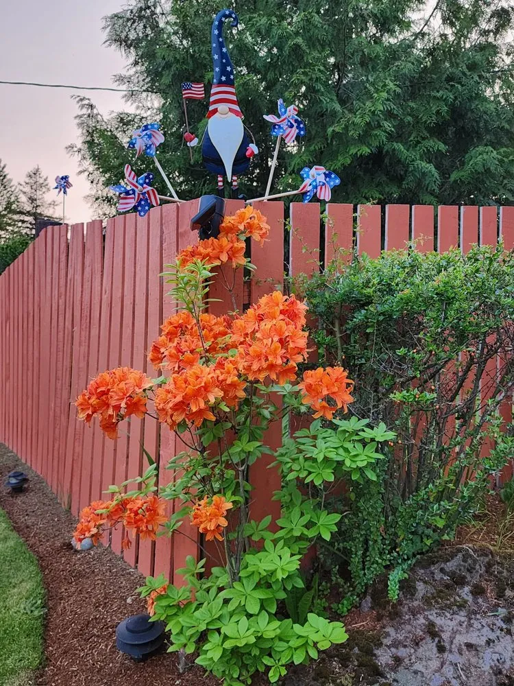 Top-rated landscaping services with custom design across Seattle, WA - Abundant Grace Landscaping & Gardening Service