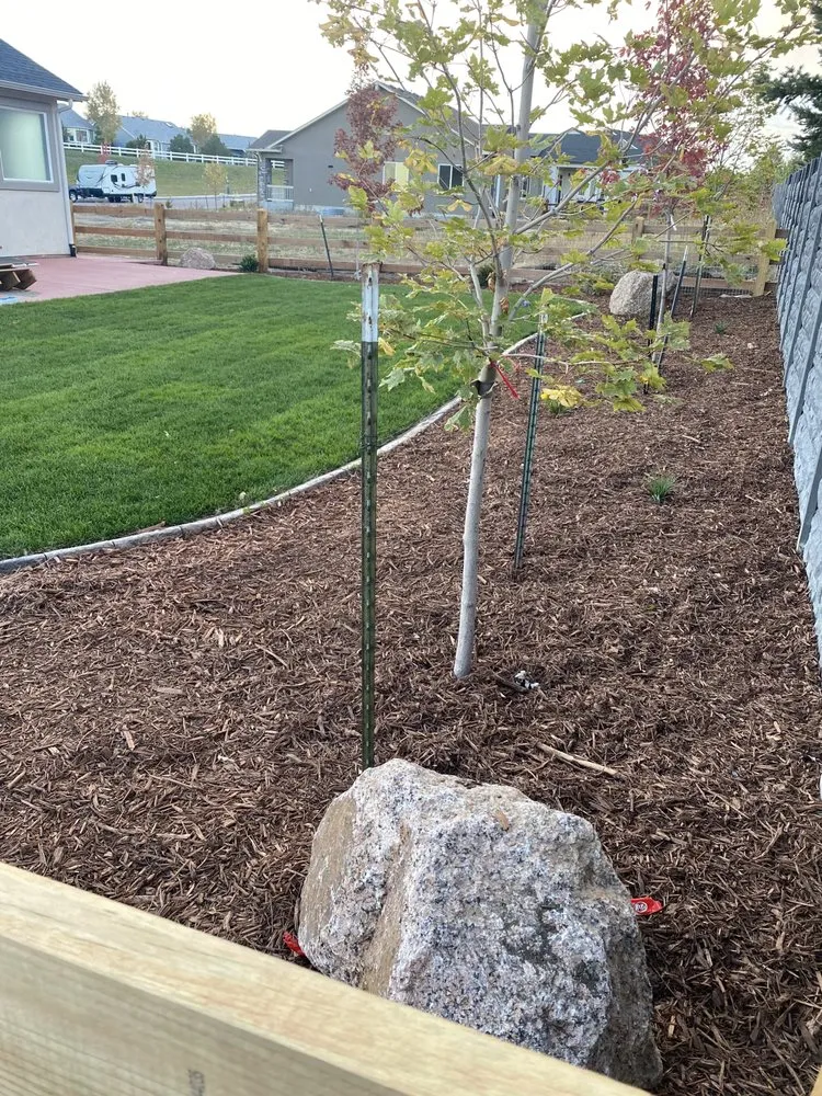 Trusted garden landscaping for year-round maintenance across Colorado Springs, CO - Abundant Landscaping