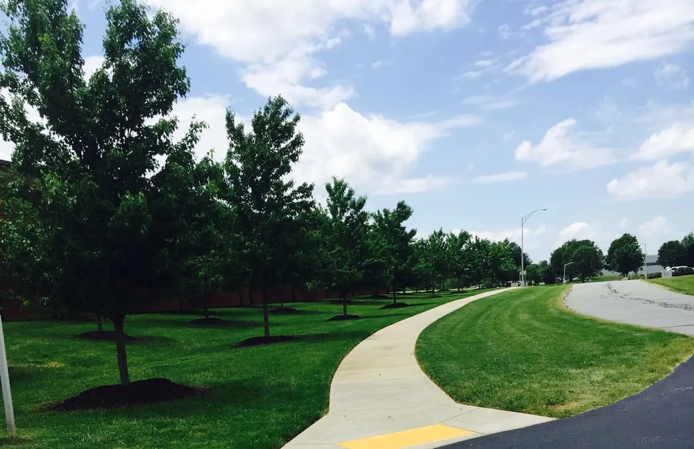 Affordable landscape installation in Efland, NC - Abundant Lawn Care