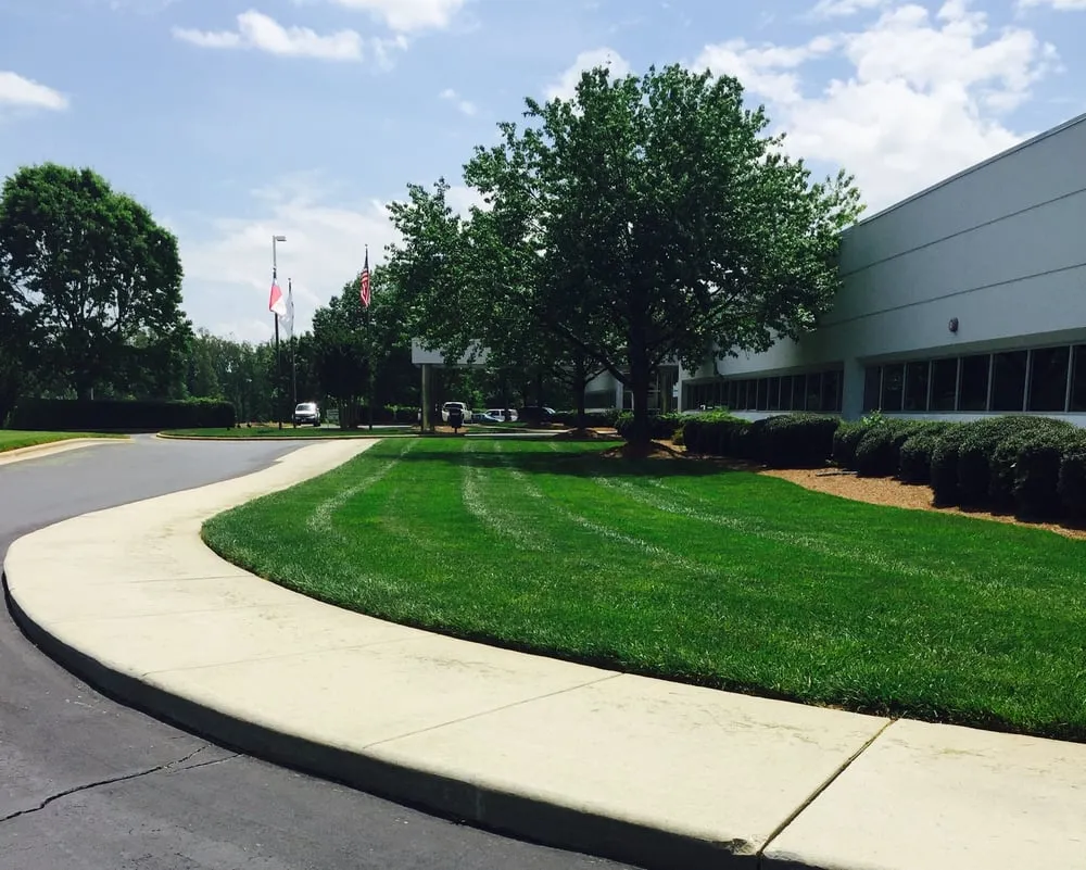 Professional lawn mowing service for beautiful yards across Efland, NC - Abundant Lawn Care