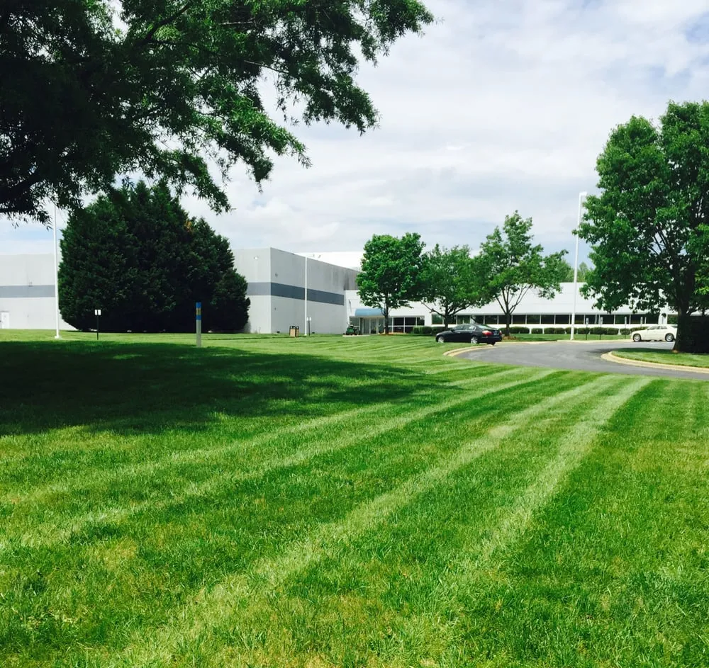 Expert residential landscaping in Efland, NC by Abundant Lawn Care