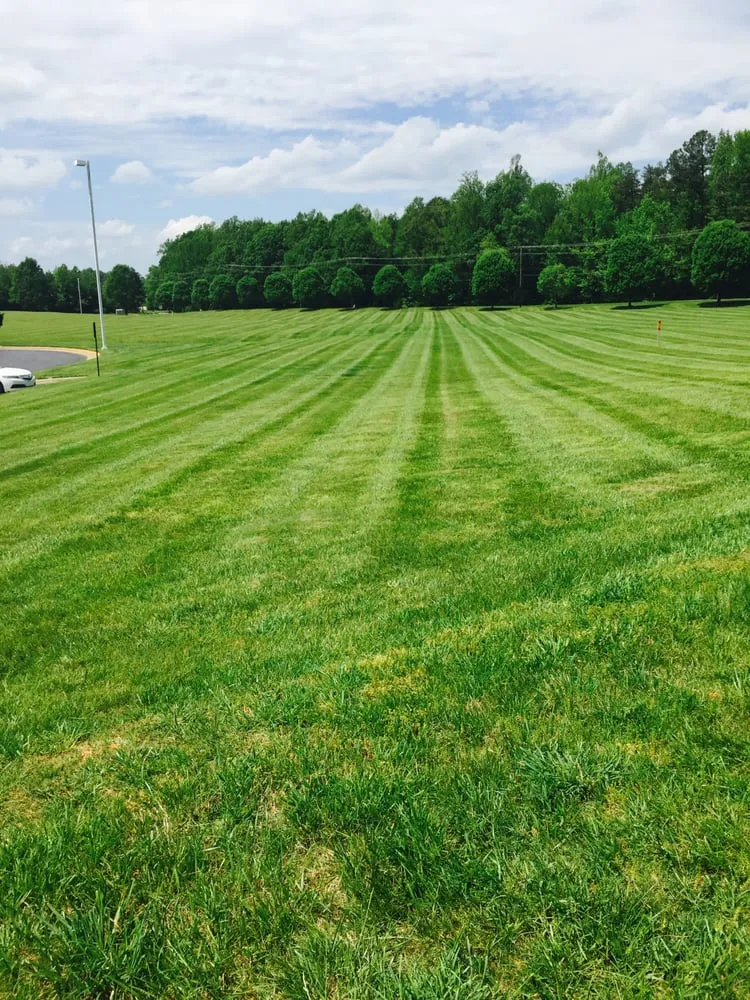 Top-rated landscaping services for year-round maintenance across Efland, NC - Abundant Lawn Care