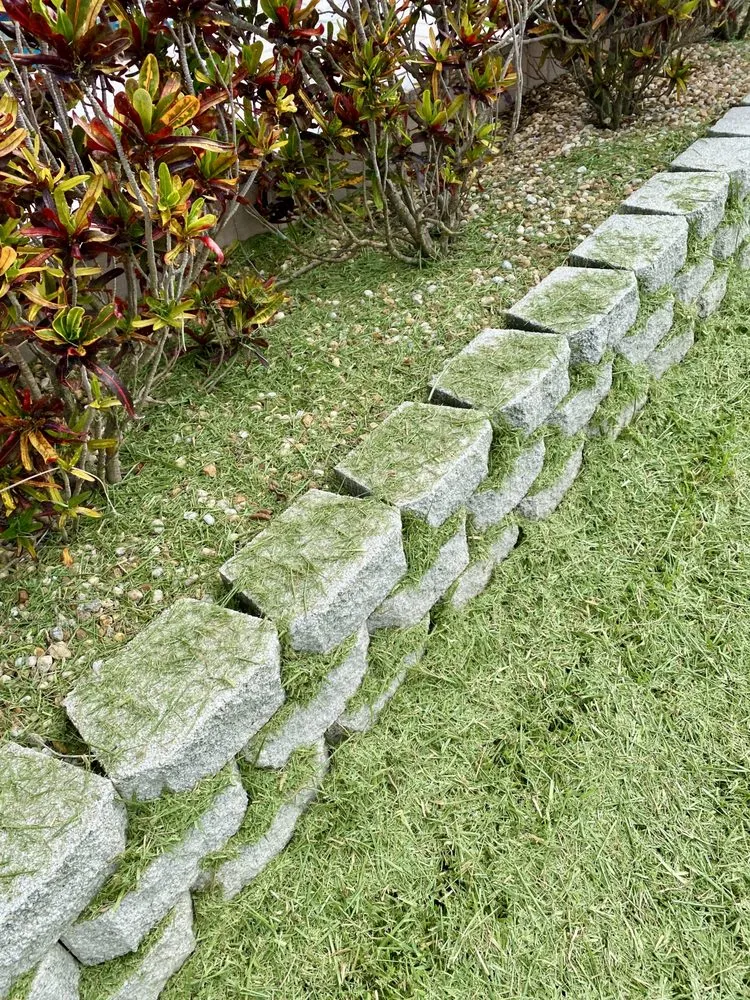 Custom yard cleanup service in St. Petersburg, FL by Abundant Lawn