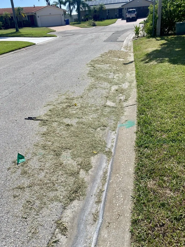 Affordable lawn care service experts serving St. Petersburg, FL - Abundant Lawn