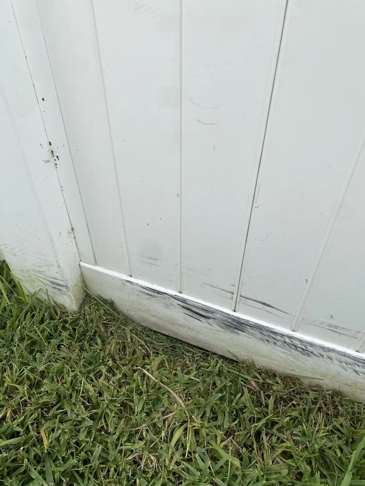 Expert lawn mowing service experts serving St. Petersburg, FL - Abundant Lawn