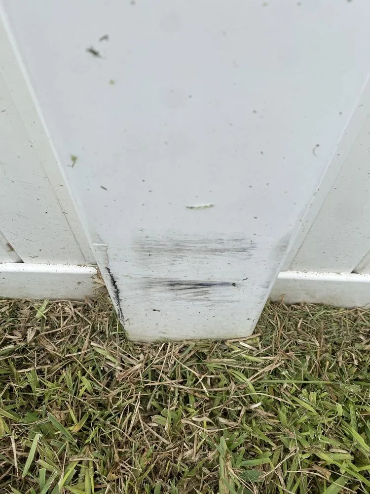 Top-rated outdoor landscaping in St. Petersburg, FL by Abundant Lawn