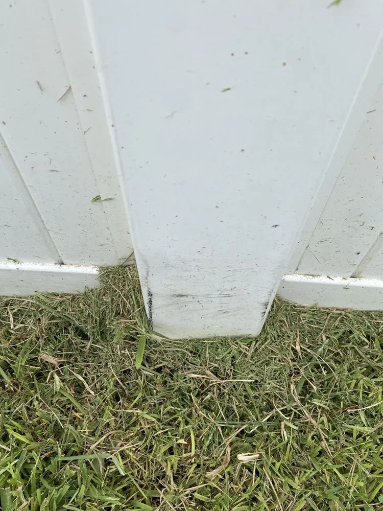 Trusted outdoor landscaping experts serving St. Petersburg, FL - Abundant Lawn